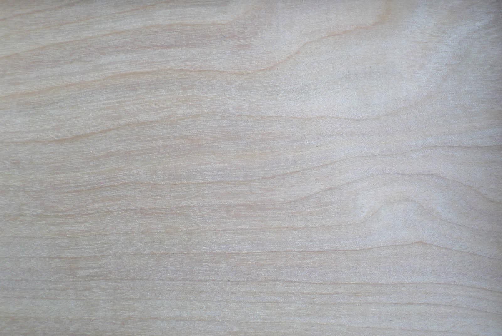 Stock placeholder image. Intended shot: Work in progress on the bench